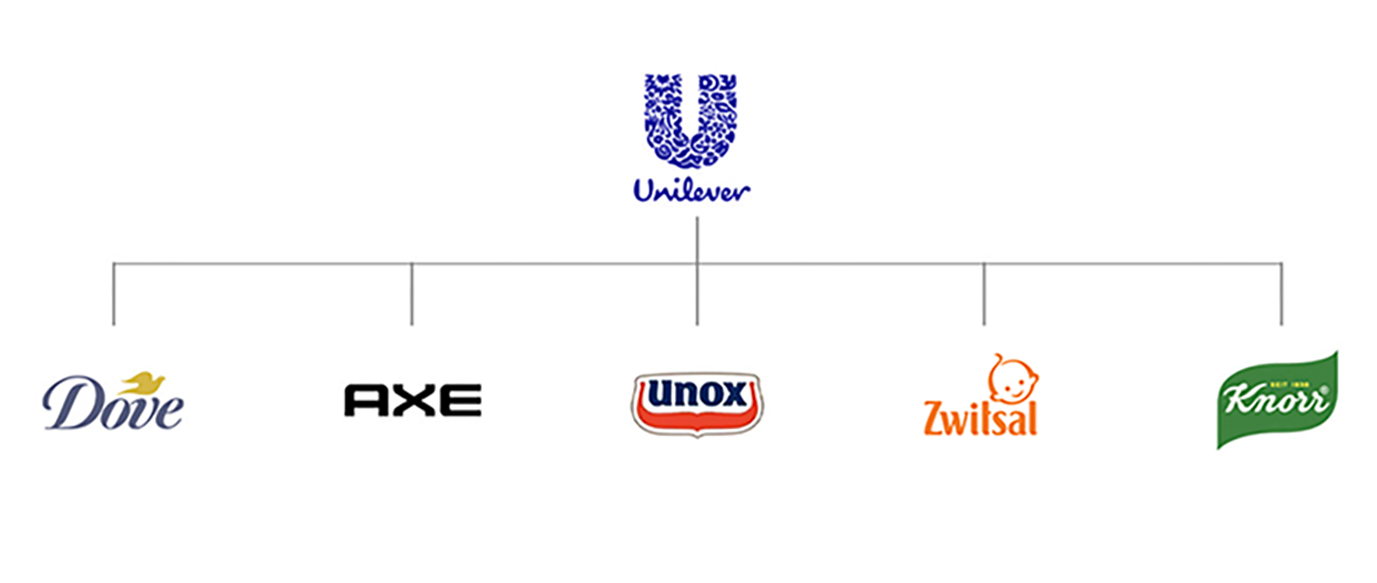 Organogram van Unilever met daaronder Dove, AXE, Unox, Zwitsal en Knorr, vijf merken die niets van elkaar of het moederbedrijf laten zien