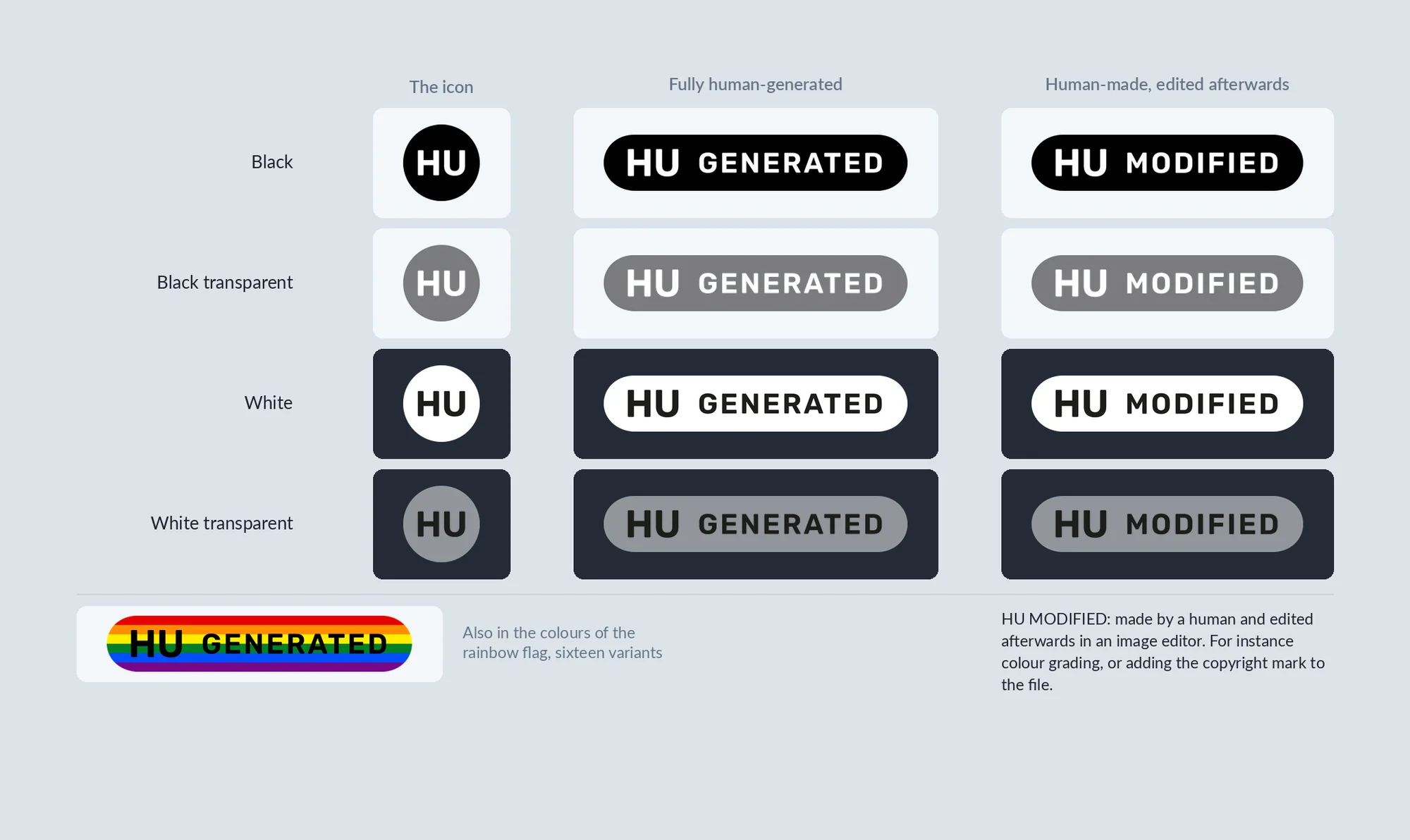 Overview of the 13 human generated labels with brief explanation